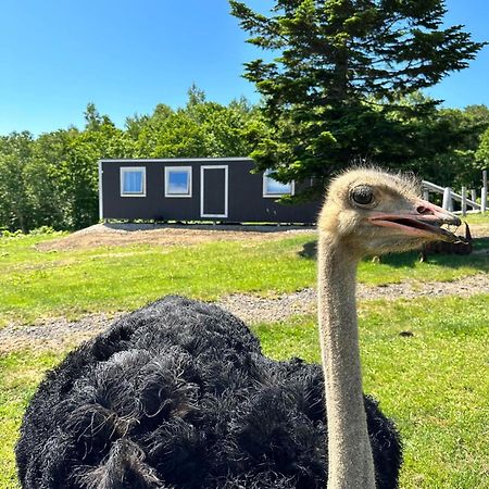 Margo'S Garden Farmstay, Kiroro อาคาอิกาวะ ภายนอก รูปภาพ