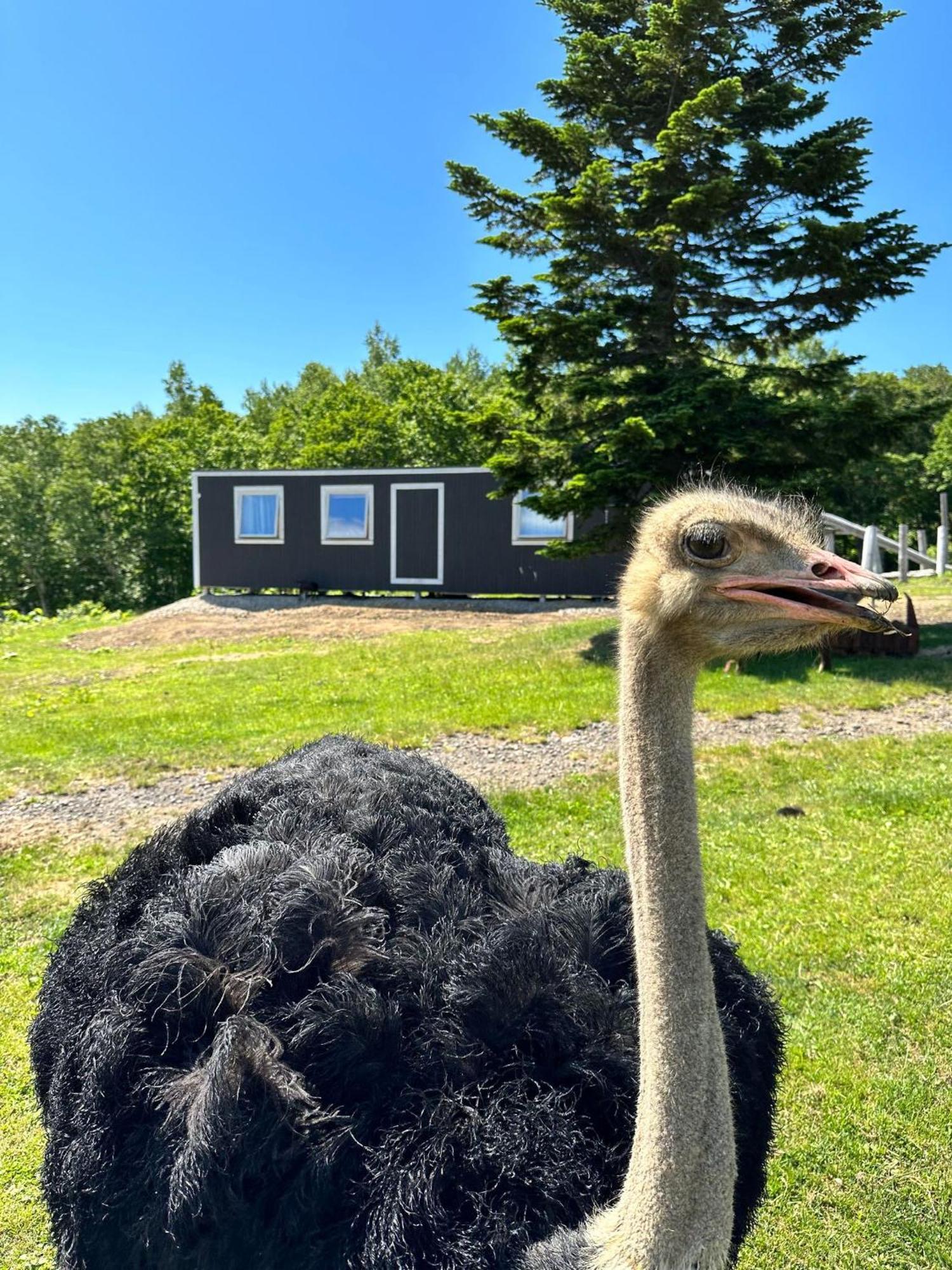Margo'S Garden Farmstay, Kiroro อาคาอิกาวะ ภายนอก รูปภาพ